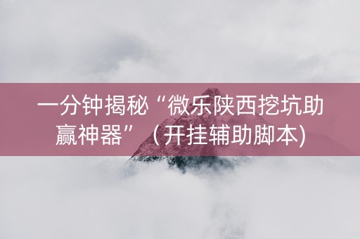 一分钟揭秘“微乐陕西挖坑助赢神器”（开挂辅助脚本)