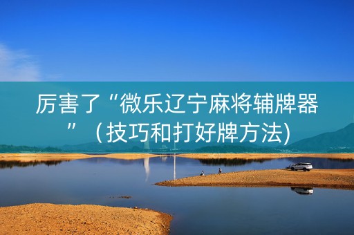 厉害了“微乐辽宁麻将辅牌器”（技巧和打好牌方法)