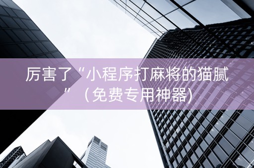 厉害了“小程序打麻将的猫腻”（免费专用神器)