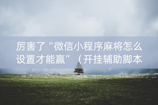 厉害了“微信小程序麻将怎么设置才能赢”（开挂辅助脚本)