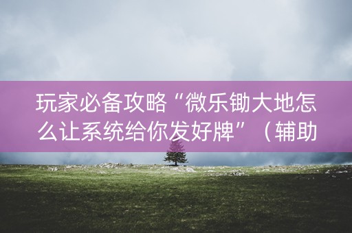 玩家必备攻略“微乐锄大地怎么让系统给你发好牌”（辅助器插件)