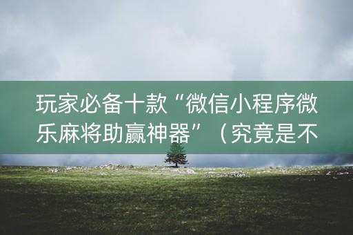 玩家必备十款“微信小程序微乐麻将助赢神器”（究竟是不是有挂)