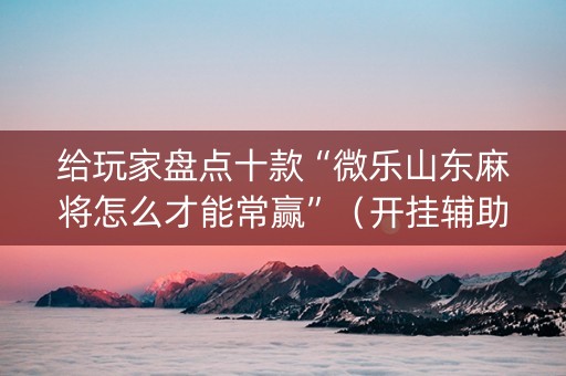 给玩家盘点十款“微乐山东麻将怎么才能常赢”（开挂辅助插件)