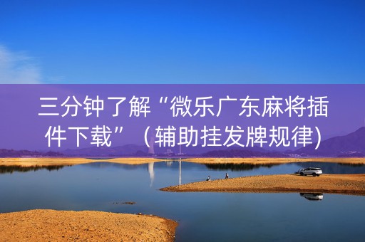 三分钟了解“微乐广东麻将插件下载”（辅助挂发牌规律)