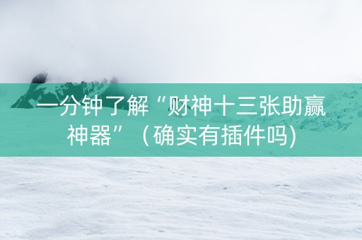 一分钟了解“财神十三张助赢神器”（确实有插件吗)