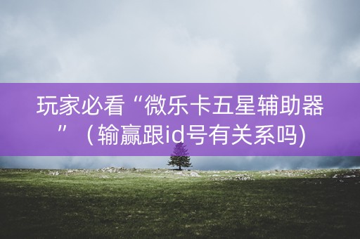 玩家必看“微乐卡五星辅助器”（输赢跟id号有关系吗)