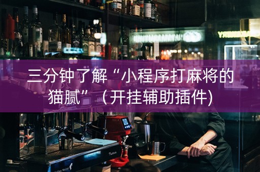三分钟了解“小程序打麻将的猫腻”（开挂辅助插件)