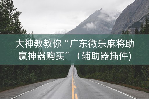 大神教教你“广东微乐麻将助赢神器购买”（辅助器插件)