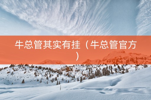 牛总管其实有挂（牛总管官方）