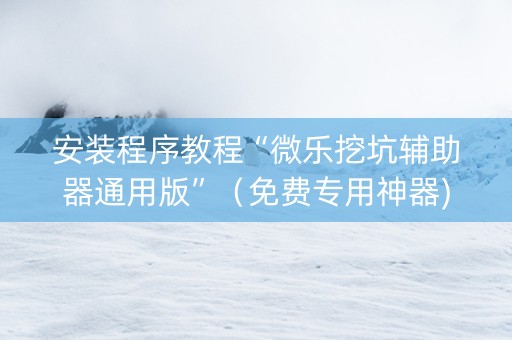 安装程序教程“微乐挖坑辅助器通用版”（免费专用神器)