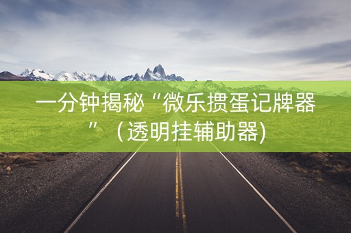 一分钟揭秘“微乐掼蛋记牌器”（透明挂辅助器)