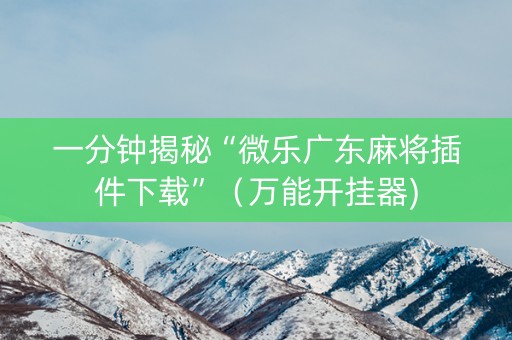 一分钟揭秘“微乐广东麻将插件下载”（万能开挂器)