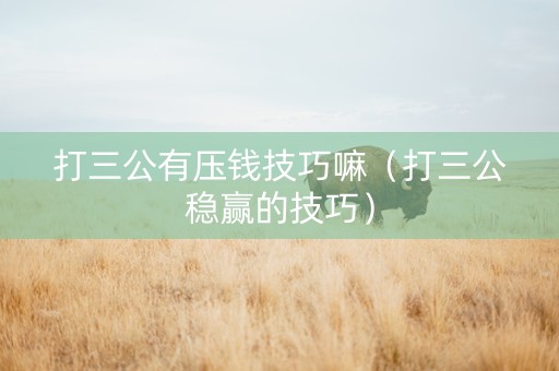 打三公有压钱技巧嘛（打三公稳赢的技巧）