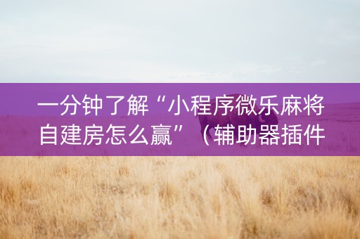 一分钟了解“小程序微乐麻将自建房怎么赢”（辅助器插件)