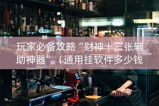 玩家必备攻略“财神十三张辅助神器”（通用挂软件多少钱)