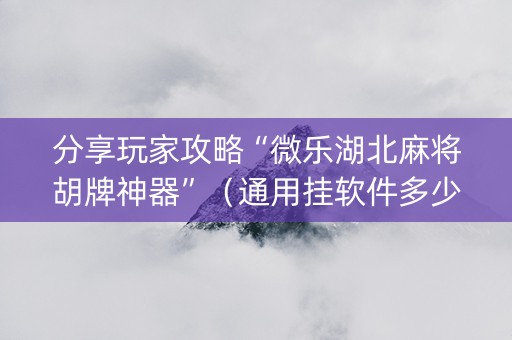 分享玩家攻略“微乐湖北麻将胡牌神器”（通用挂软件多少钱)
