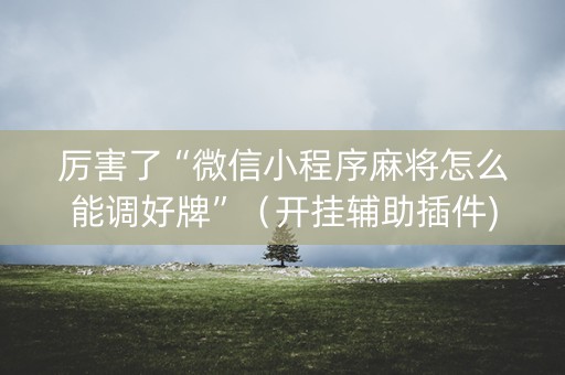 厉害了“微信小程序麻将怎么能调好牌”（开挂辅助插件)