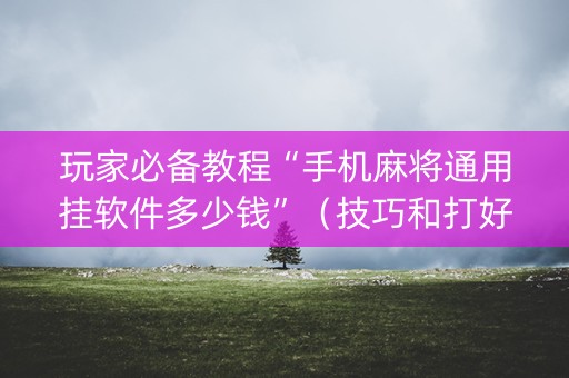 玩家必备教程“手机麻将通用挂软件多少钱”（技巧和打好牌方法)