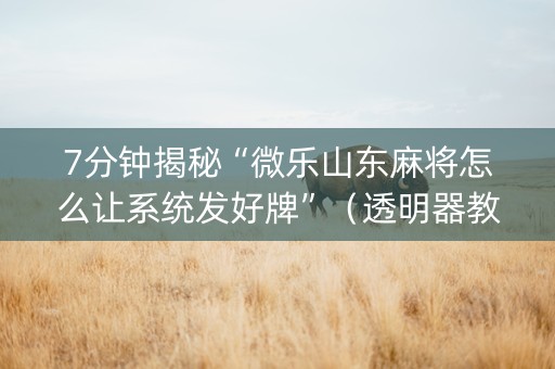 7分钟揭秘“微乐山东麻将怎么让系统发好牌”（透明器教程)