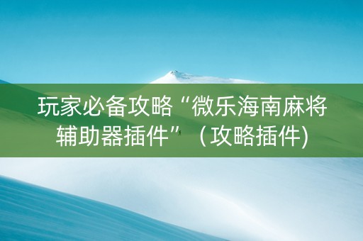 玩家必备攻略“微乐海南麻将辅助器插件”（攻略插件)