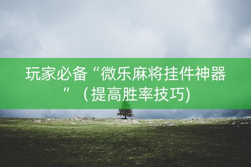 玩家必备“微乐麻将挂件神器”（提高胜率技巧)