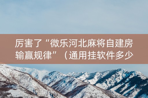 厉害了“微乐河北麻将自建房输赢规律”（通用挂软件多少钱)