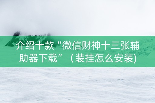 介绍十款“微信财神十三张辅助器下载”（装挂怎么安装)