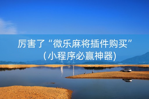 厉害了“微乐麻将插件购买”（小程序必赢神器)