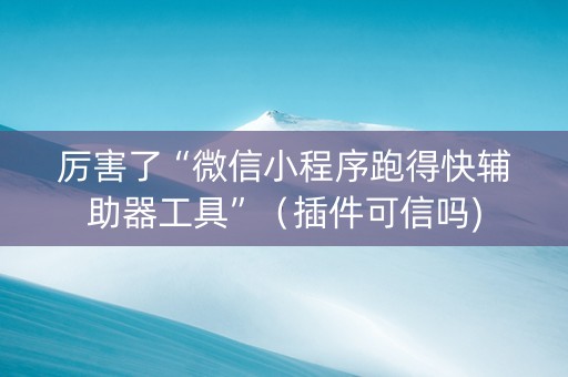 厉害了“微信小程序跑得快辅助器工具”（插件可信吗)
