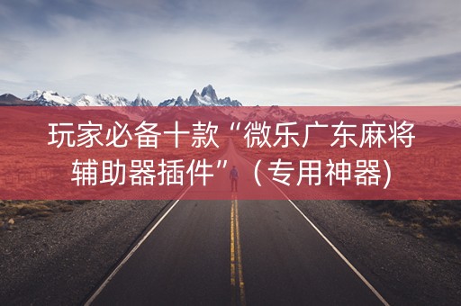 玩家必备十款“微乐广东麻将辅助器插件”（专用神器)