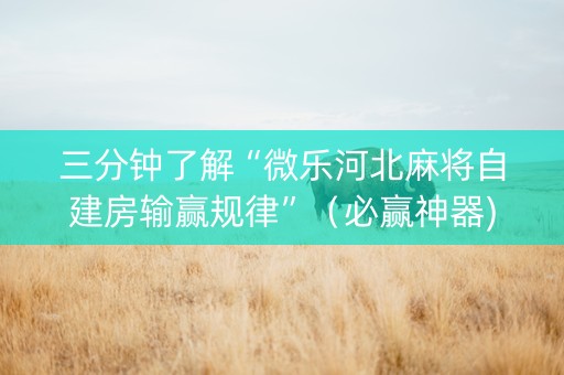 三分钟了解“微乐河北麻将自建房输赢规律”（必赢神器)