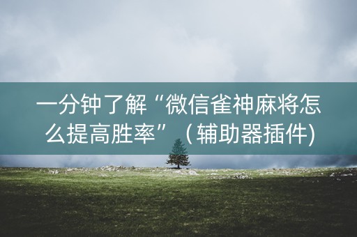 一分钟了解“微信雀神麻将怎么提高胜率”（辅助器插件)