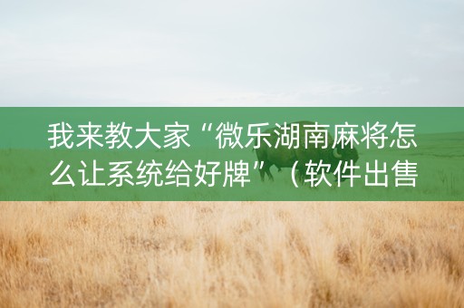 我来教大家“微乐湖南麻将怎么让系统给好牌”（软件出售)