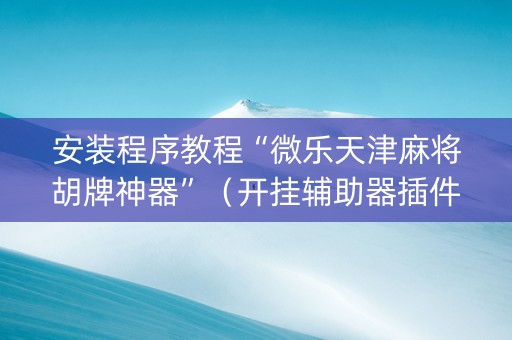 安装程序教程“微乐天津麻将胡牌神器”（开挂辅助器插件)