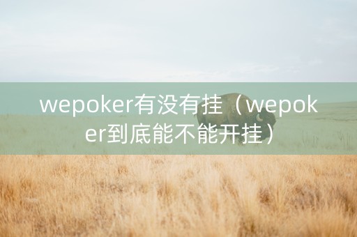 wepoker有没有挂（wepoker到底能不能开挂）