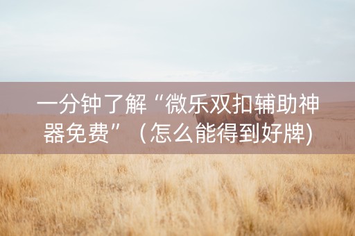 一分钟了解“微乐双扣辅助神器免费”（怎么能得到好牌)