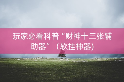 玩家必看科普“财神十三张辅助器”（软挂神器)