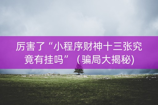 厉害了“小程序财神十三张究竟有挂吗”（骗局大揭秘)