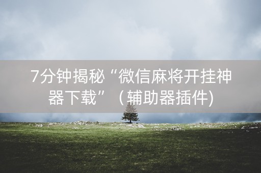 7分钟揭秘“微信麻将开挂神器下载”（辅助器插件)