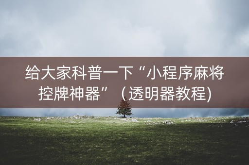 给大家科普一下“小程序麻将控牌神器”（透明器教程)