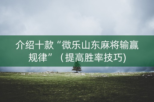 介绍十款“微乐山东麻将输赢规律”（提高胜率技巧)