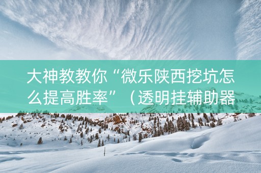 大神教教你“微乐陕西挖坑怎么提高胜率”（透明挂辅助器)