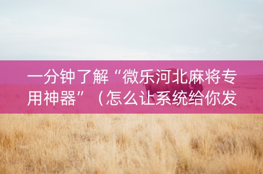 一分钟了解“微乐河北麻将专用神器”（怎么让系统给你发好牌)