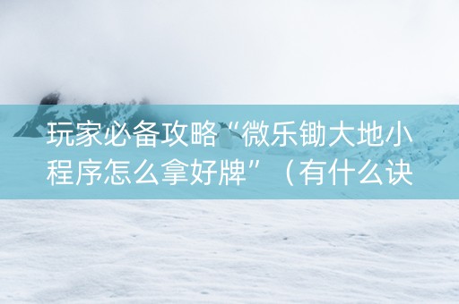 玩家必备攻略“微乐锄大地小程序怎么拿好牌”（有什么诀窍)