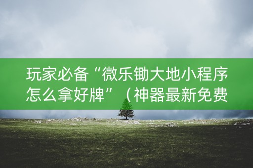 玩家必备“微乐锄大地小程序怎么拿好牌”（神器最新免费)