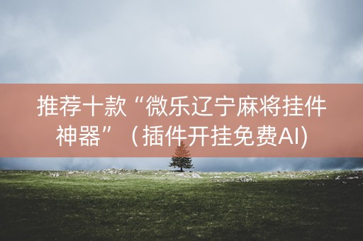推荐十款“微乐辽宁麻将挂件神器”（插件开挂免费AI)