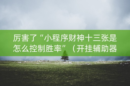 厉害了“小程序财神十三张是怎么控制胜率”（开挂辅助器脚本)