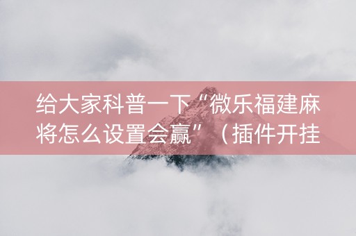 给大家科普一下“微乐福建麻将怎么设置会赢”（插件开挂免费AI)