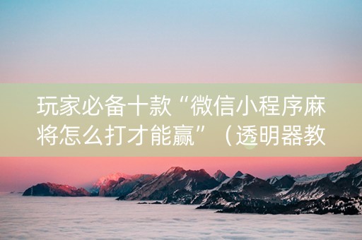 玩家必备十款“微信小程序麻将怎么打才能赢”（透明器教程)