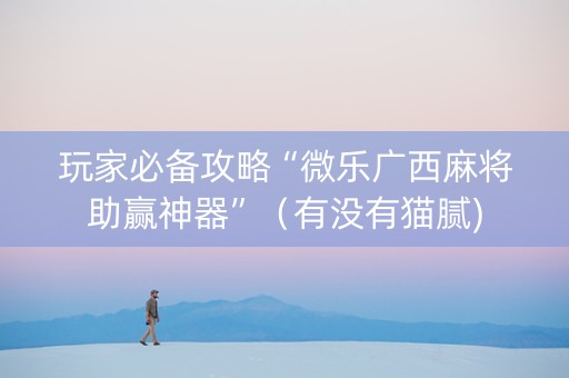 玩家必备攻略“微乐广西麻将助赢神器”（有没有猫腻)